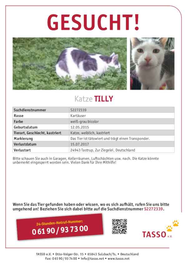 Tasso Suchplakat für Tilly